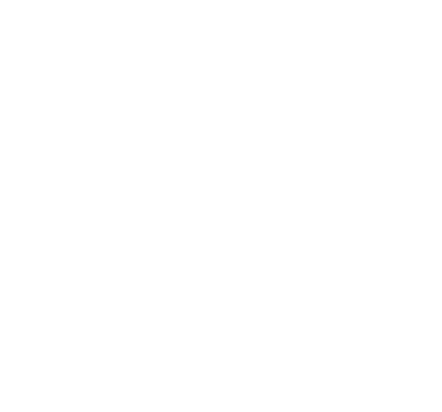 قبيلة آل عامر شمران